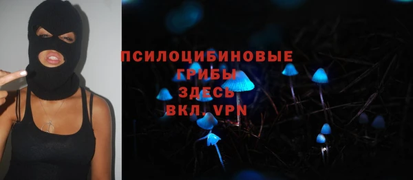 скорость Алексин