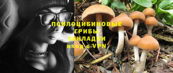 молекула духа Алексеевка