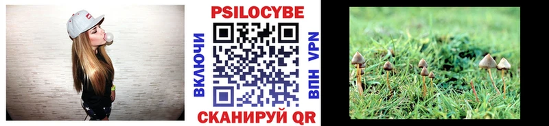 darknet формула  Тимашёвск  Галлюциногенные грибы мицелий 